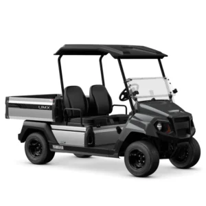 Yamaha UMX AC