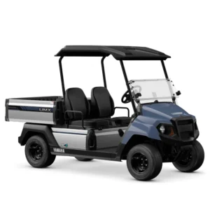Yamaha UMX AC Li